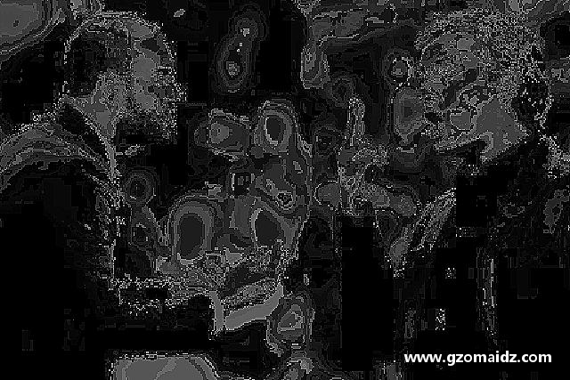 发现九游体育首页